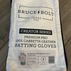 New  Bruce Bolt Batting Gloves