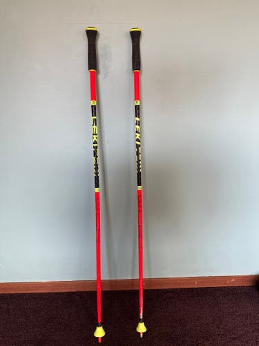 Used 42in (105cm) Leki Racing World Cup - GS Ski Poles