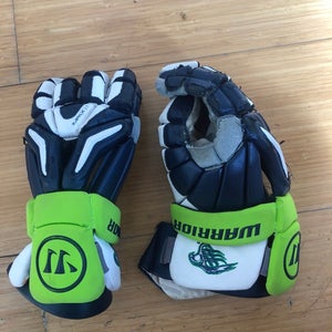 Custom Warrior Chesapeake Bayhawks Gloves And Elbows