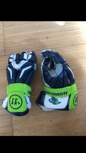 Custom Warrior Chesapeake Bayhawks Gloves And Elbows