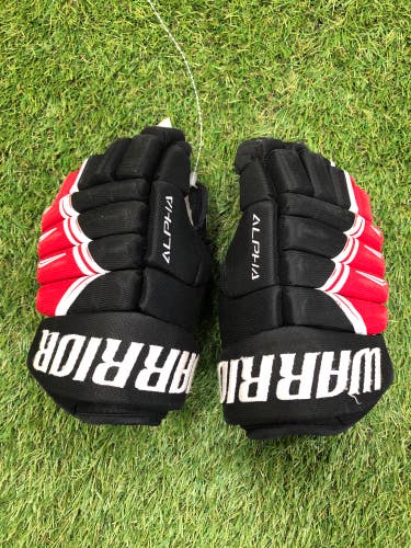 Used Junior Warrior Alpha DX4 Gloves 10"