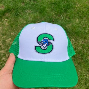 Springfield Thunderbirds Indians mashup logo minor league hockey hat