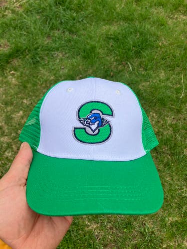 Springfield Thunderbirds Indians mashup logo minor league hockey hat