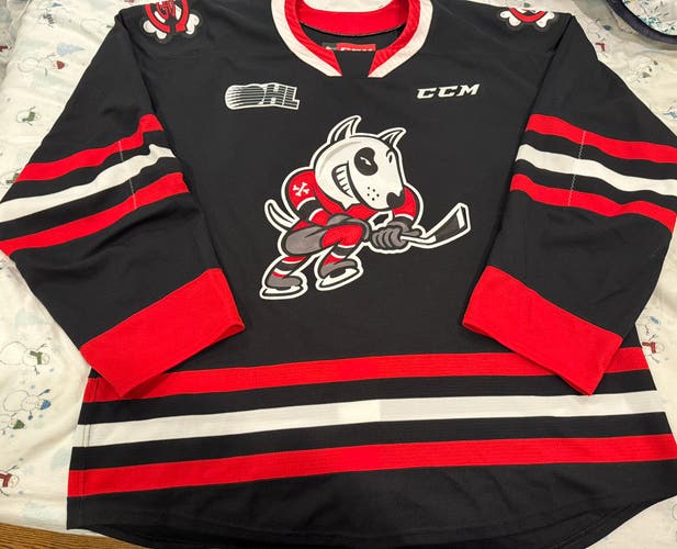 NWOT Niagara Ice Dogs Authentic Black Size 58 CCM Quicklite Blank Jersey
