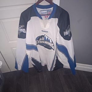 ECHL Used Goalie Cut Men's Reebok Jersey