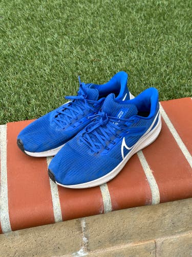 Used Size Men's 10.5 (W 11.5) Blue Men's Nike Pegasus Training Shoes (MAKE OFFERS)
