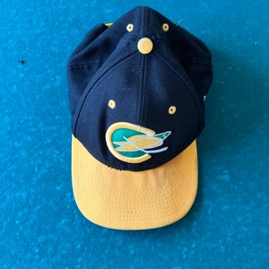 California Golden Seal Vintage Snapback