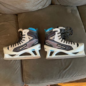 Hockey Goalie skates