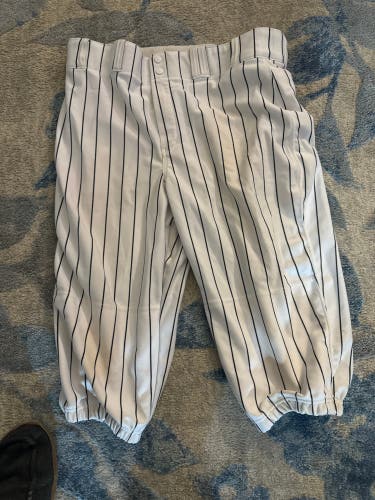Pinstripes Baseball pants