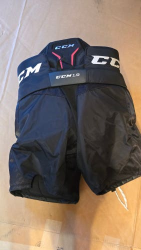 Used Senior Large CCM Axis 1.9 Hockey Goalie Pants