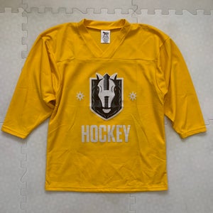 Troy L/XL Practice Hockey Jersey HSK 22
