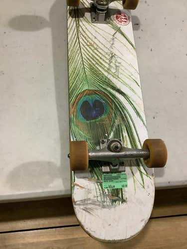 Used Skate Board Regular Complete Skateboards
