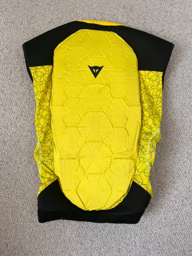Youth Large Dainese Back Protector