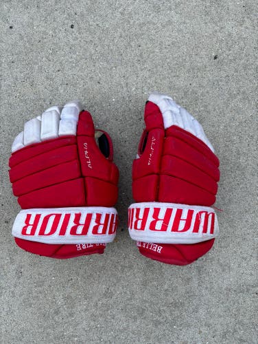 Used Warrior Alpha Pro 13" Gloves
