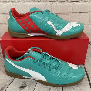 Puma evoPOWER 4 IT Men's Indoor Soccer Shoes Green White Grenadine Turb US 10