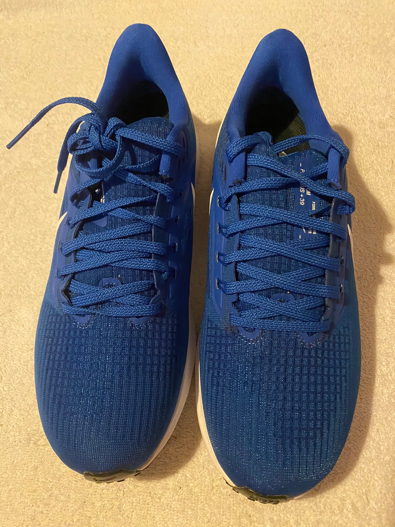 nike air zoom pegasus size 10