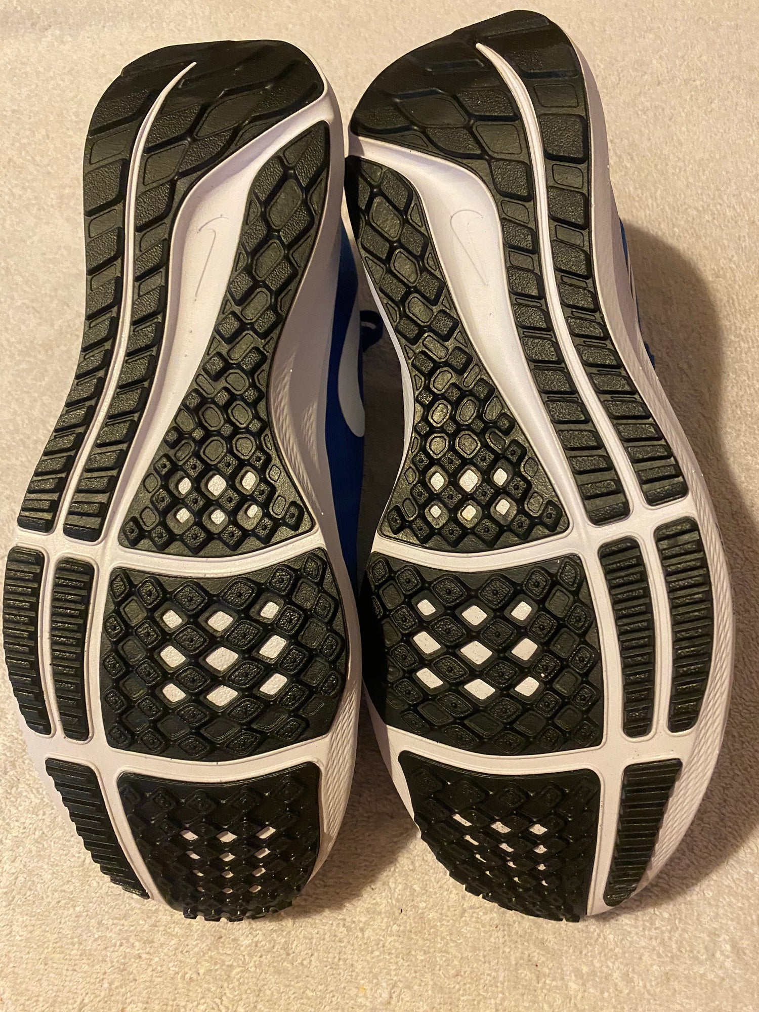 nike air zoom pegasus size 10