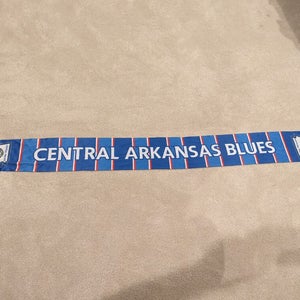 Central Arkansas Blues Chelsea Scarf