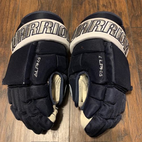 Worcester Railers #61 2019-20 ECHL Pro Stock Warrior Alpha Pro Sz 14 Team Gloves