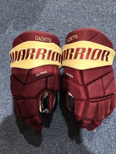 Game Used Cadet’s Warrior Alpha Pro Size 14” Gloves