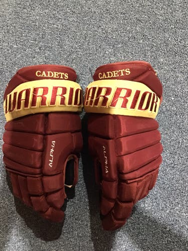 Game Used Cadet’s Warrior Alpha Size 14” Gloves