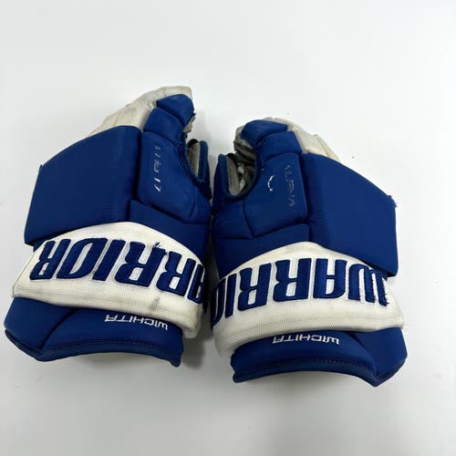 Used Royal Warrior Alpha Pro Wichita Thunder Gloves | 15"