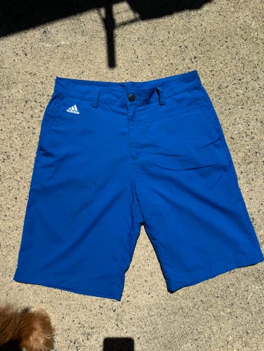 Blue Used Men's Adidas Shorts