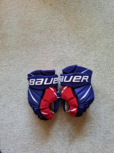 Used Czech Bauer Vapor 2X Pro Gloves 13" Pro Stock