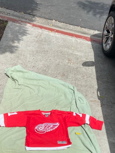 Dylan Larkin Youth Small Game Jersey