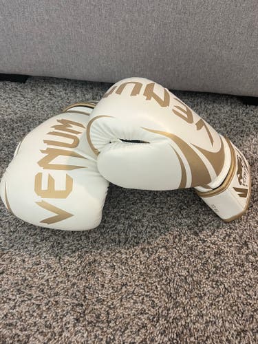 Venum Challenger 2.0 Boxing Gloves 12 oz.