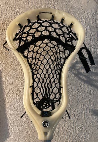 Bone Warrior Burn XP2-D