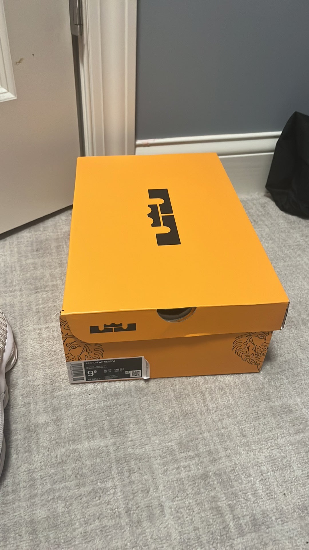 lebron shoes box