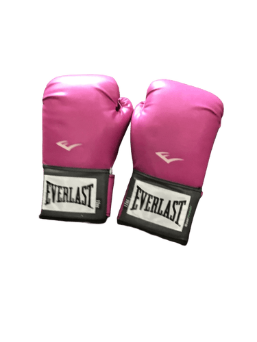 Used Everlast Lg 12 Oz Boxing Gloves