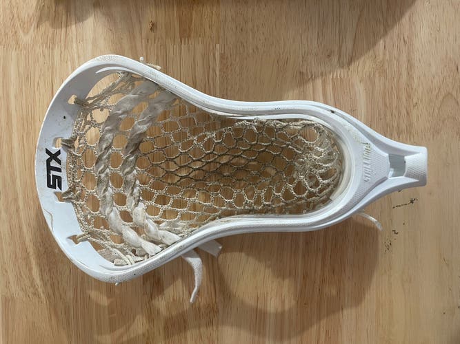 Stx stallion head