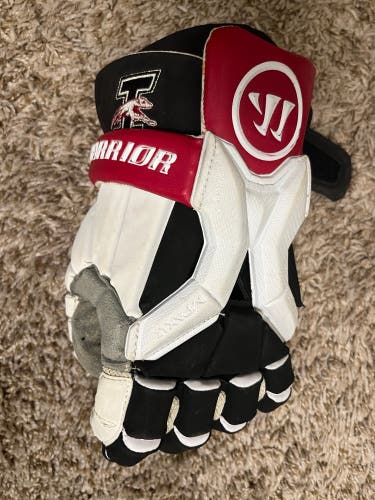 UIndy Warrior Evo Gloves