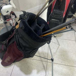 Ping Golf Stand Bag  With double strap  Used good