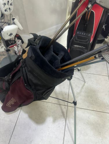 Ping Golf Stand Bag  With double strap  Used good