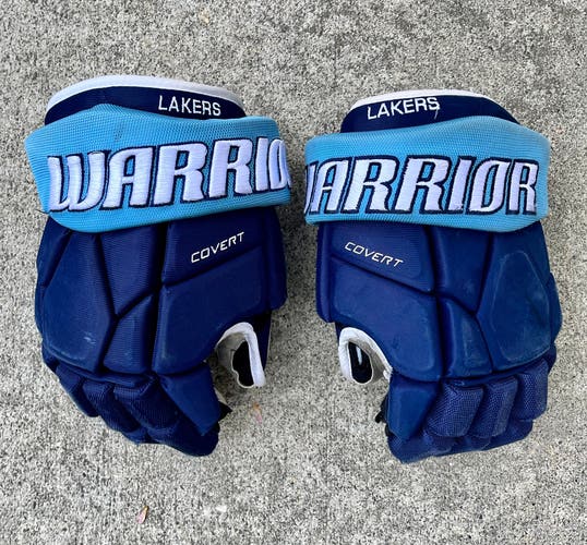 Warrior Pro Stock Blue On Blue Hockey Gloves