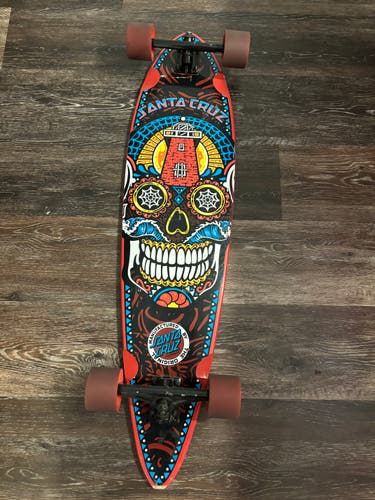 Used Santa Cruz Skateboard Pintail