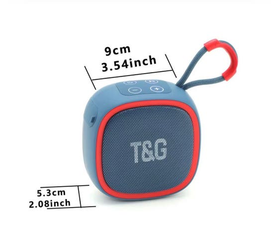 T&G speaker For Cheap
