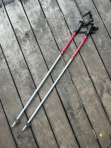 Ski Poles Kerma Vector Used