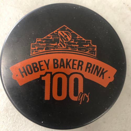 Hobey Baker Rink 100th anniversary puck