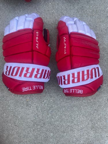 Used Warrior Alpha Gloves 12"