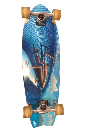 Used Jay Aiders Long Complete Skateboards