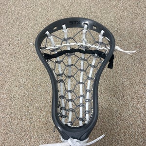 Used Traditional Strung Stallion Head