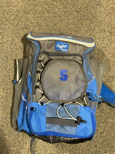 Blue Used Rawlings Bags & Batpacks Bat Bag