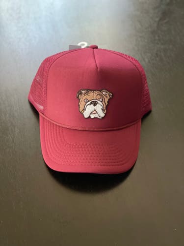 NEW Mississippi State Bulldog Hat