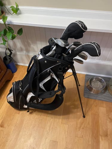 Used Lynx Silvercat 10 Piece Graphite Senior Mens Package Set