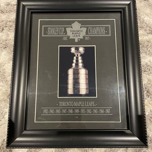 Toronto Maple Leafs Photo