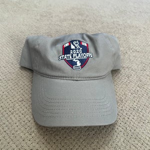 Michigan AAA State Playoffs Hat